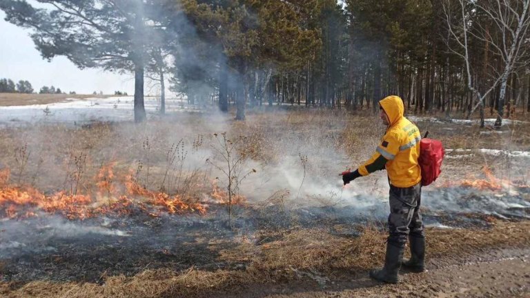 В Приангарье за сутки ликвидировано семь лесных пожаров на общей площади 41 га